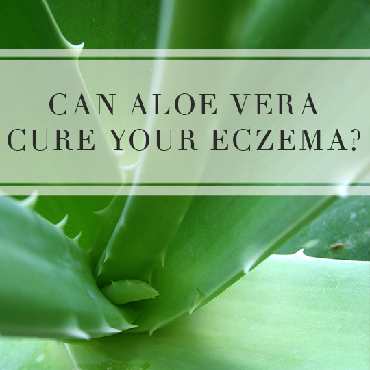 Can Aloe Vera Cure Your Eczema